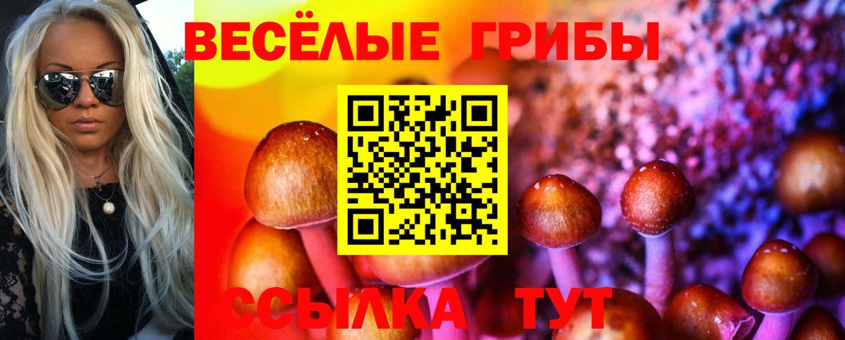 Псилоцибиновые грибы ЛСД Воткинск